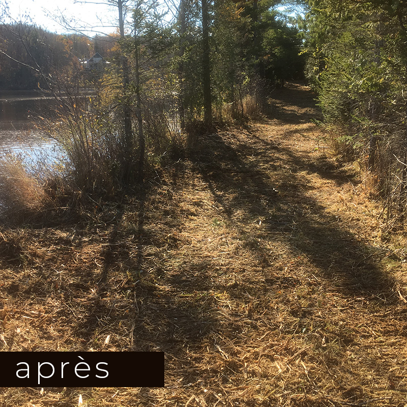 Broyage forestier - exemple 4